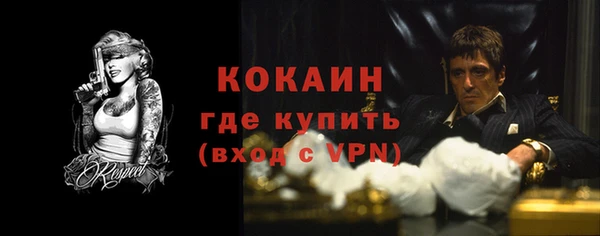 дмт Богородицк