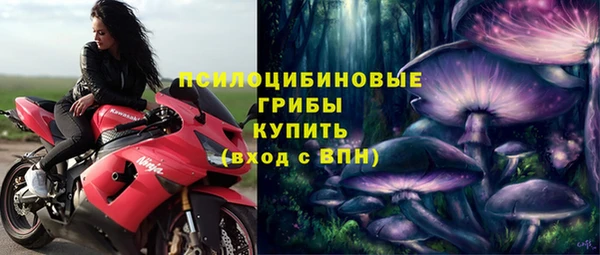 прущий лед Богородск